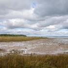 The Schafer Family Nature Sanctuary At Roach Point by Marianne Glosenger